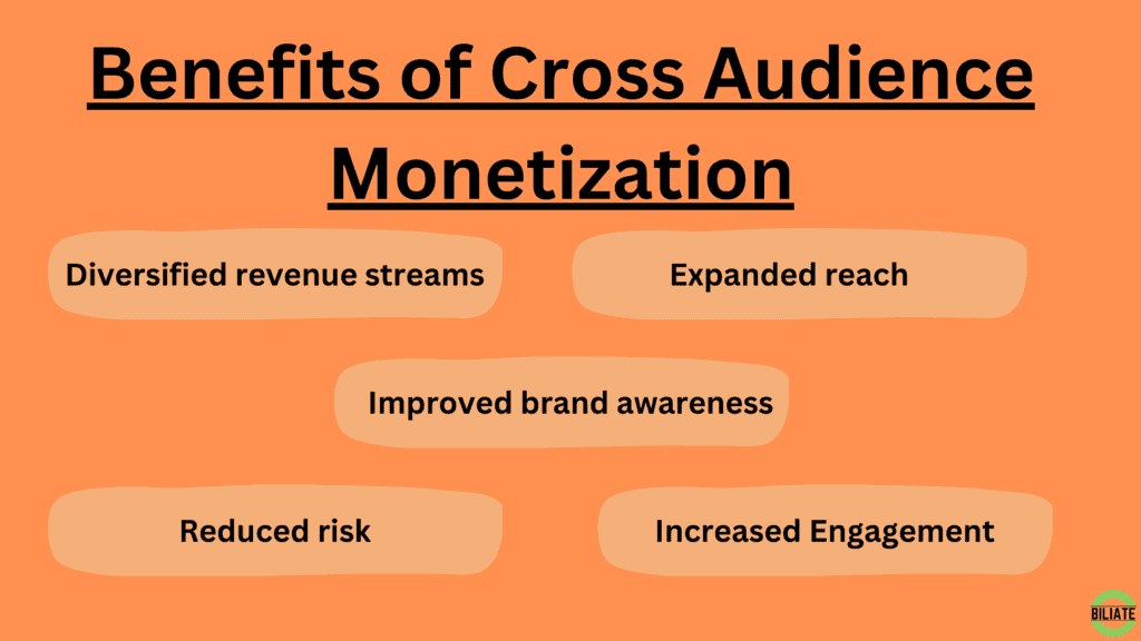 Benefits of cross audience monetization image infographic