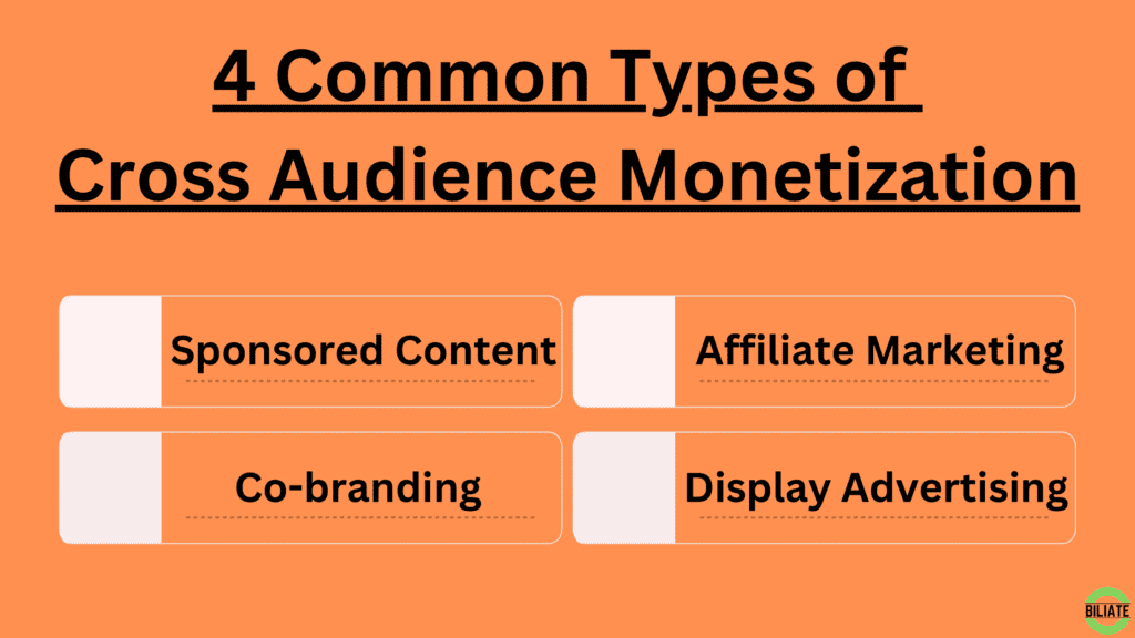 Blog post image for 4 types of cross audience monetization